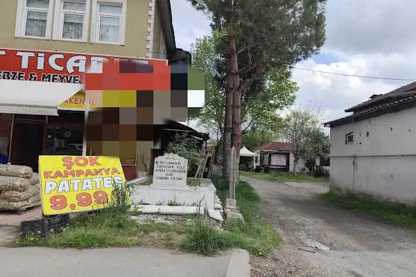 Hz Hasan Celaleddini Rumi - Müze - Sakarya Adapazarı