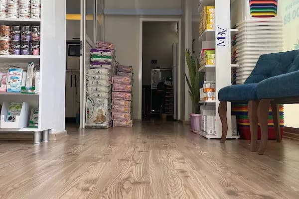 Atlantis Veteriner Kliniği - Veteriner - Adana Çukurova