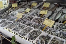 Esatoğlu Balık Tavuk Market