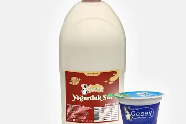 Gessy - Üretici - Bursa Gemlik