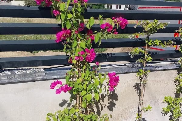 Yalıhüyük Belediyesi Düğün Salonu - Düğün Salonu - Konya Meram