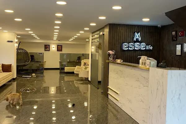 Esse Vip Mezitli Güzellik Merkezi - Güzellik Salonu - Mersin Mezitli
