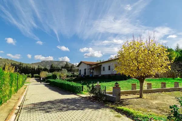 Arvalya Özel Kamp Alanı - Kamp Alanı - İzmir Konak