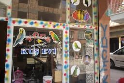 Yüce Petshop