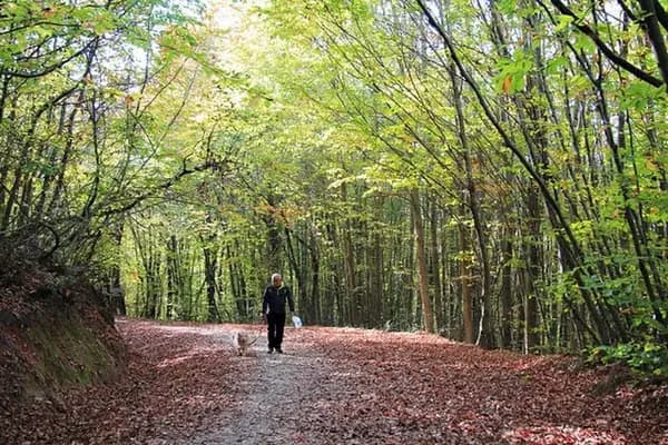 Polonezköy Yürüyüş Parkuru Başlangıcı - Yürüyüş Alanı - İstanbul Büyükçekmece