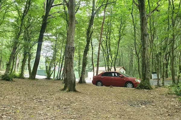 Orman Bakanlığı Fatih Orman Mesire Yeri - Park - İstanbul Sarıyer