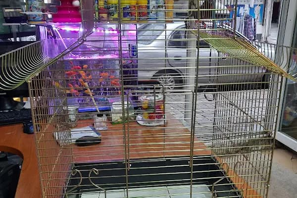 Şen Kardeşler Petshop - Evcil hayvan mağazası - İstanbul Kâğıthane