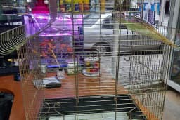 Şen Kardeşler Petshop