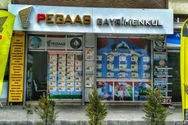 PEGAAS GAYRİMENKUL - Emlak Bürosu - İstanbul Tuzla