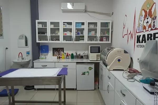 Kare Veteriner Kliniği - Veteriner - Diyarbakır Kayapınar