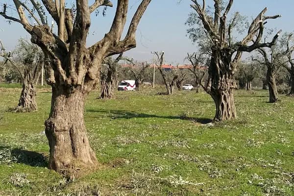 Petrol Ofisi - Benzin İstasyonu - Kocaeli İzmit