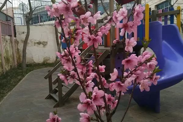 Çağdaş Yaşam Eşref Ve Sadullah Kıray Anaokulu - Anaokulu - İstanbul Kâğıthane