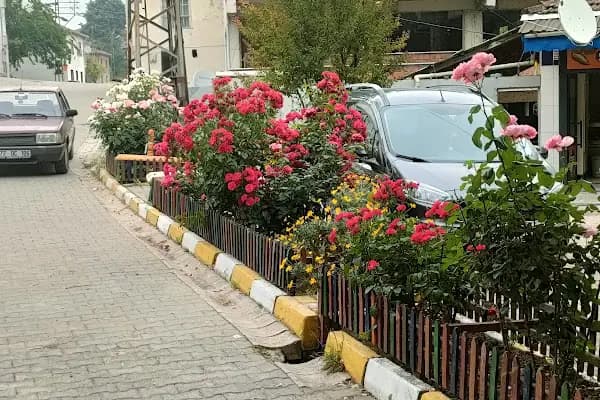 Elmalık Köyü Muhtarlığı - Kurumsal Ofis - Yalova Termal