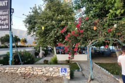 Tutku Restaurant