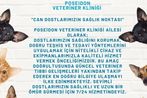 Poseidon Veteriner Kliniği - Veteriner - İzmir Karabağlar