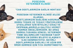 Poseidon Veteriner Kliniği
