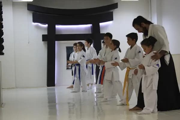 Torii Dojo - Aikido Okulu - Ankara Keçiören