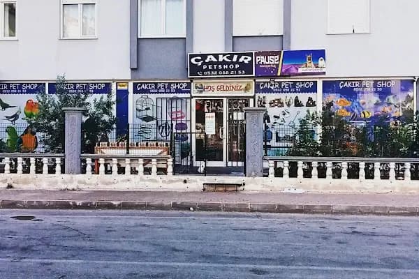 Çakır Petshop - Evcil Hayvan Malzemeleri Mağazası - Antalya Kepez