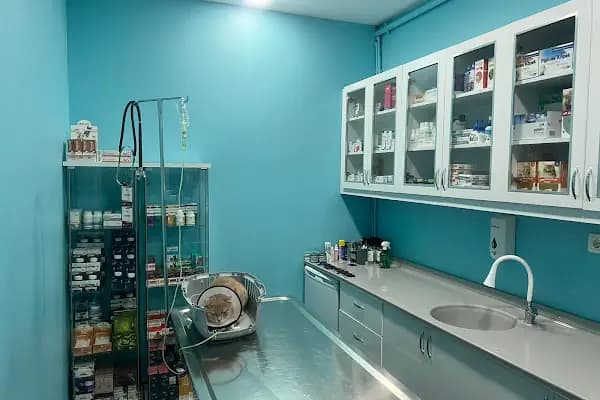 Ümraniye Akça Veteriner Kliniği - Veteriner - İstanbul Ümraniye