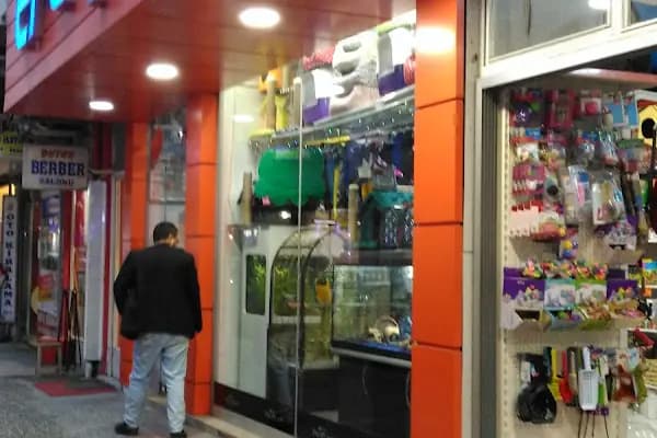 Efe Petshop - Evcil Hayvan Malzemeleri Mağazası - Balıkesir Savaştepe