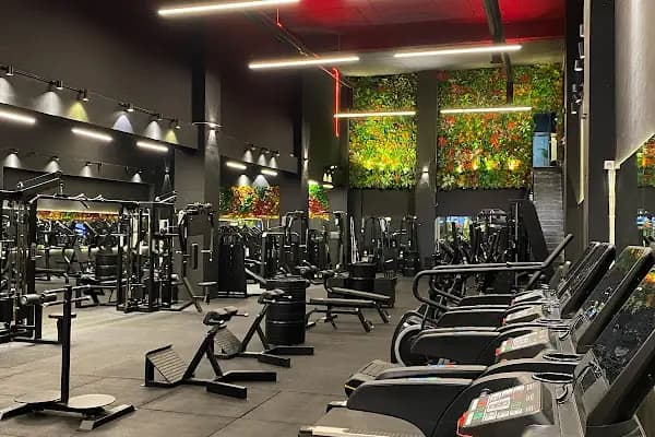 Zone Pilates &amp; Fitness - Pilates Salonu - Diyarbakır Bağlar