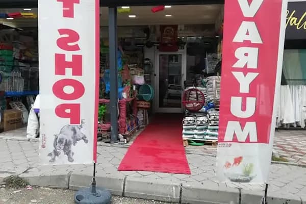 Akmaz Akvaryum - Evcil hayvan mağazası - Ankara Çankaya