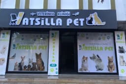Vatsilla Pet Veteriner Kliniği