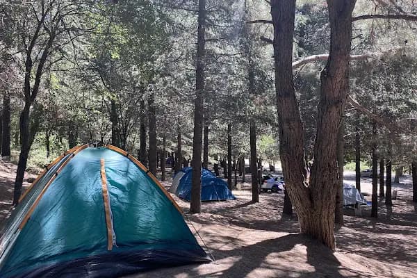 Morperest Glamping &amp; KARAVAN KAMP - Turistik Yer - İzmir Menderes