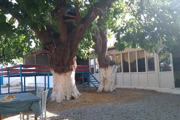 Dutaltı Aile Restoran - Restoran - Mersin Anamur
