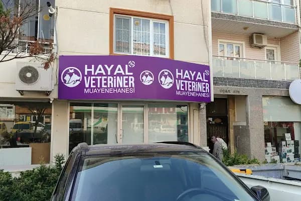 Hayal Veteriner Muayenehanesi I 7/24 veteriner I Üçevler Veteriner I Acil Veteriner - Veteriner - Bursa Nilüfer