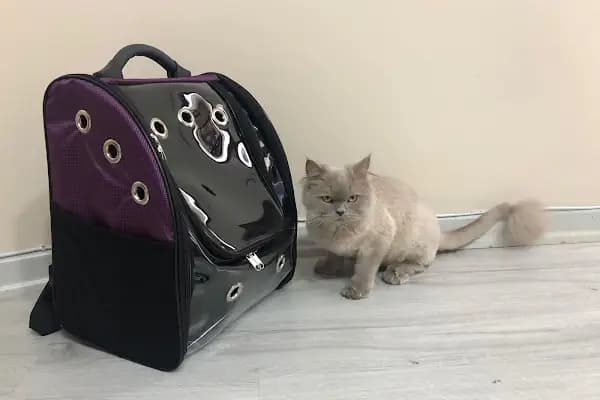 Pets&Vets Veteriner Kliniği - Veteriner - İzmir Karabağlar