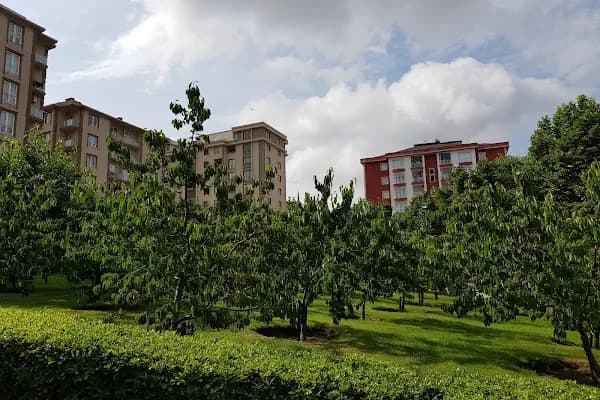 KİRAZ BAHÇESİ - Bahçe - İstanbul Adalar