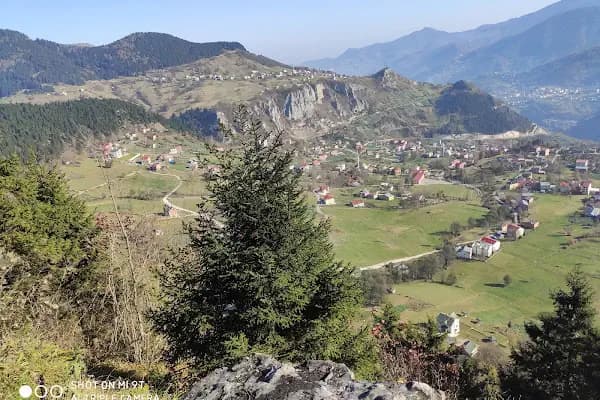 Çalcamili Tabiat Parkı - Milli Park - Trabzon Köprübaşı