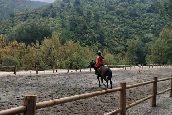 Atlı Vadi Binicilik - Binicilik Okulu - Bursa Büyükorhan
