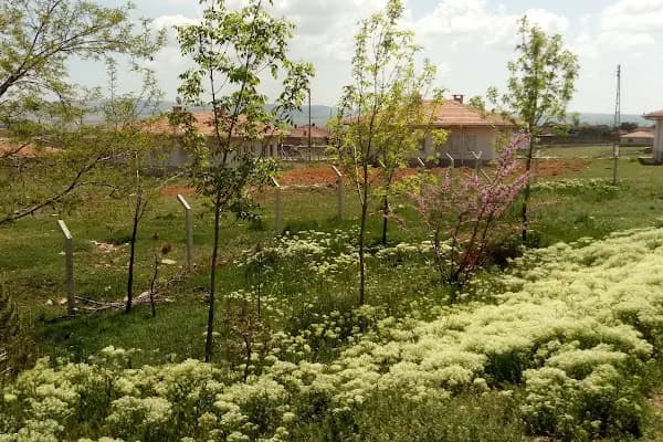 Sofular Musa Ünal İlköğretim Okulu - Okul - Ankara Balâ