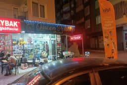Queen Petshop