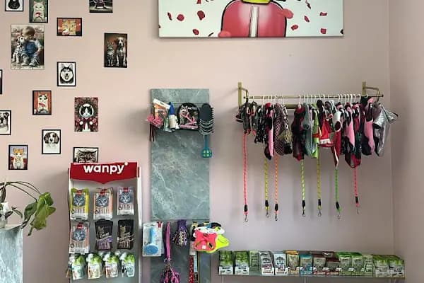 Vetberry Veteriner Kliniği - Acil Durum Veterinerlik Hizmeti - Diyarbakır Bağlar