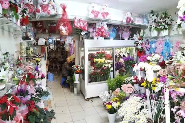 Sefaköy çiçekçil - Çiçekçi - İstanbul Küçükçekmece