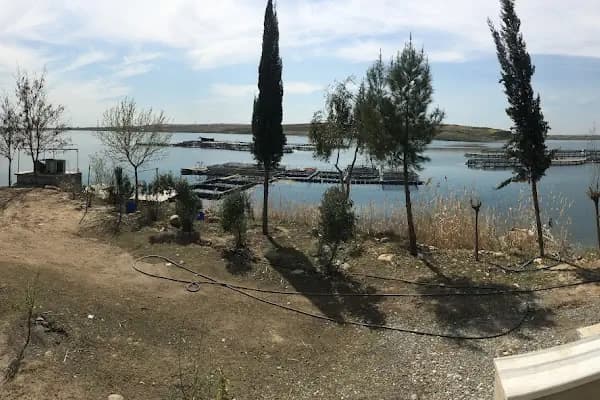 TUNÇ ALABALIK SU ÜRN. ÜRT VE PAZ.TİC.LTD.ŞTİ - Balıkçı - Şanlıurfa Birecik