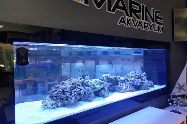MARINE AKVARYUM SISTEMLERI - Akvaryum - İstanbul Avcılar