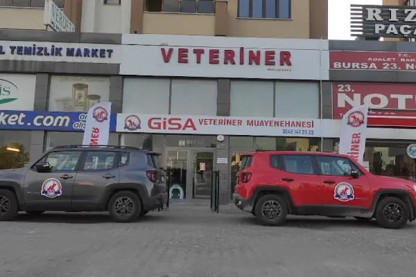 Gisa Veteriner Kliniği I Nilüfer Veteriner | Osmangazi Veteriner | Mudanya Veteriner - Veteriner - Bursa Nilüfer