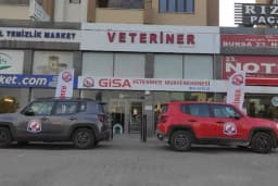 Gisa Veteriner Kliniği I Nilüfer Veteriner | Osmangazi Veteriner | Mudanya Veteriner