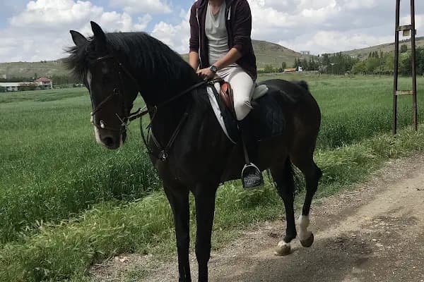 At Çiftliği - Aktarma Merkezi - Ankara Çamlıdere