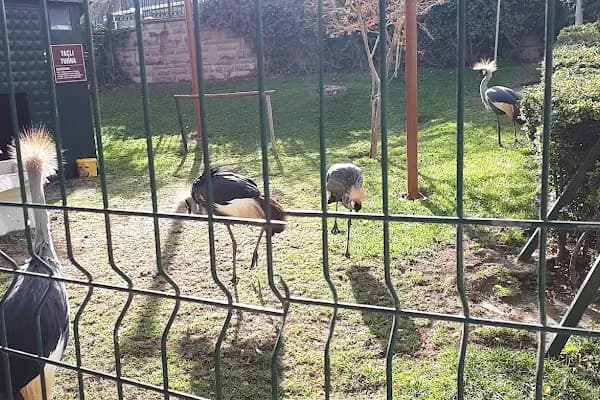 Evcil Hayvanlar Parkı - Otobüs Durağı - Ankara Keçiören