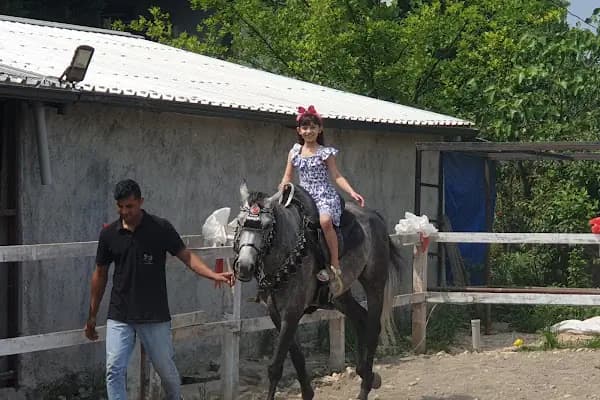 Uludağ Binicilik - Çiftlik - Bursa Kestel