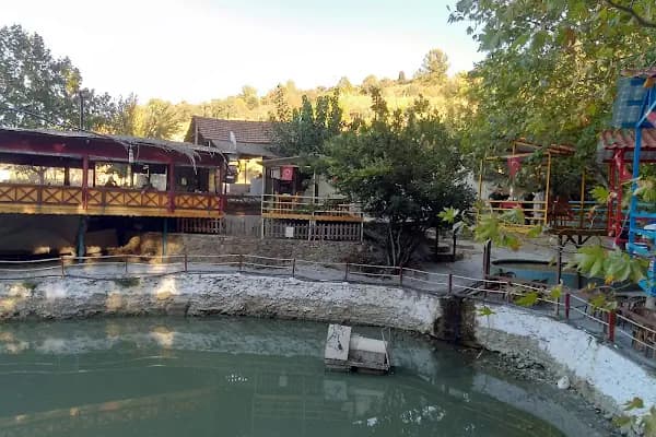 Şiringöl Restaurant Ve Kamp Alanı - Restoran - İzmir Urla
