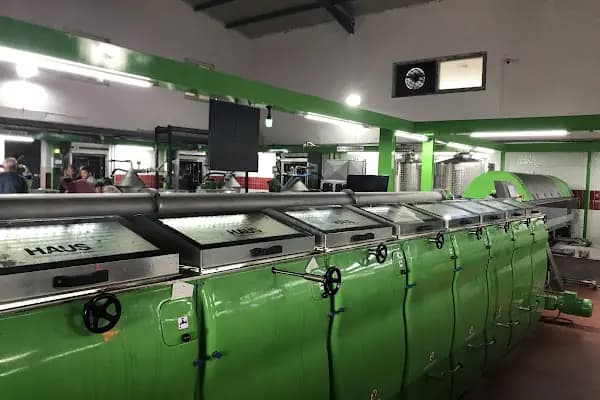 Döşemealtı Zeytinyağı - Sağlıklı Yiyecek Mağazası - Antalya Akseki