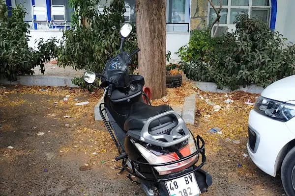 Angel Rent A Car - Araba Kiralama Şirketi - Muğla Bodrum