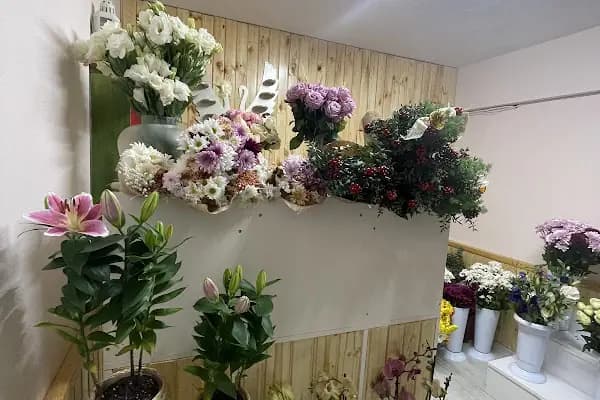 Kuzey Çiçek Evi - Çiçekçi - Bursa Osmangazi