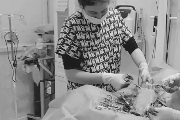 Petinyum Veteriner Kliniği - Veteriner - Konya Akşehir